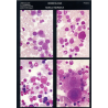 Planche de cytologie hématologique : lignée granulocytaire de la moelle normale